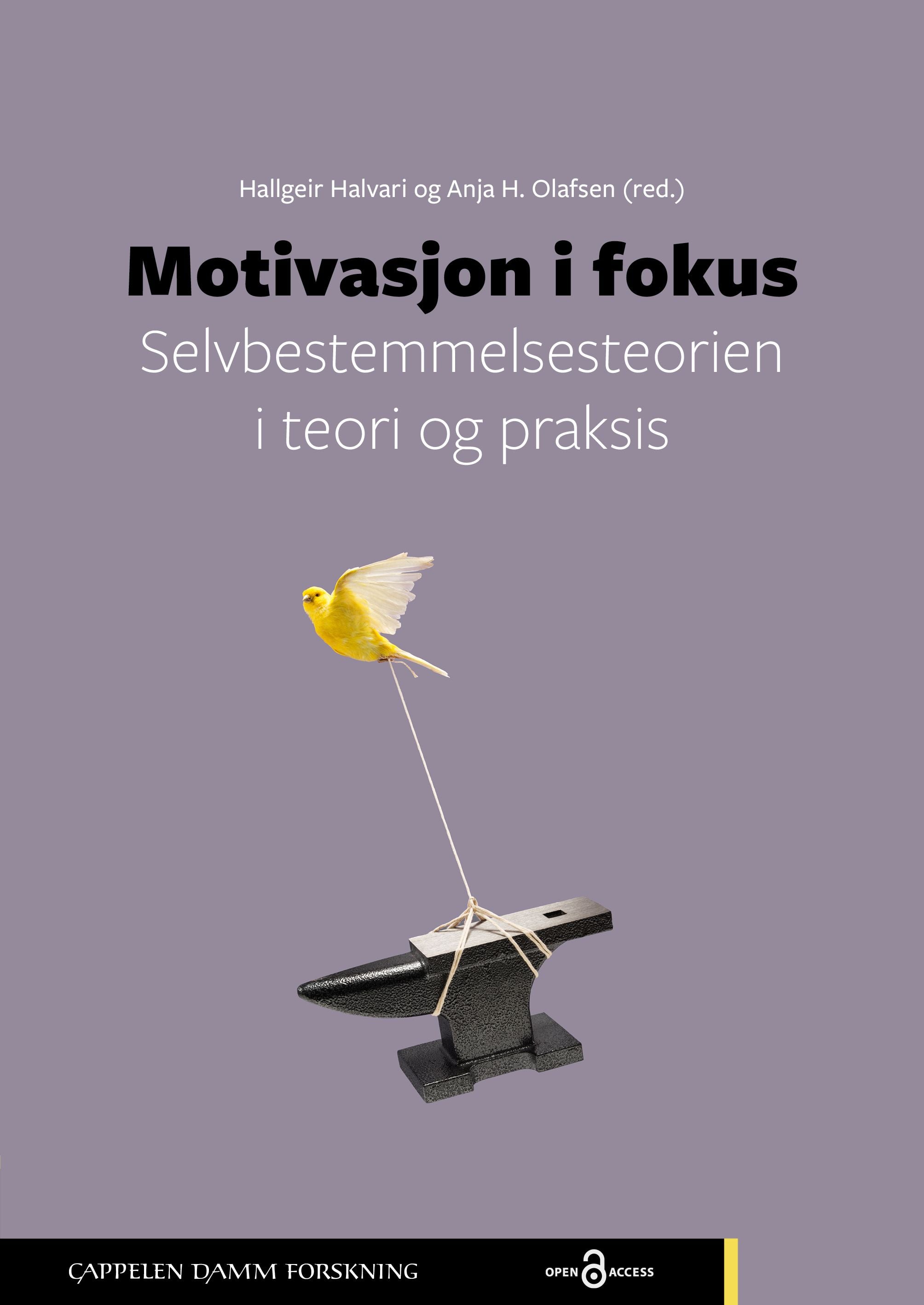 Motivasjon i fokus