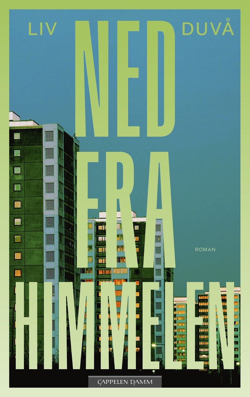 Ned fra himmelen