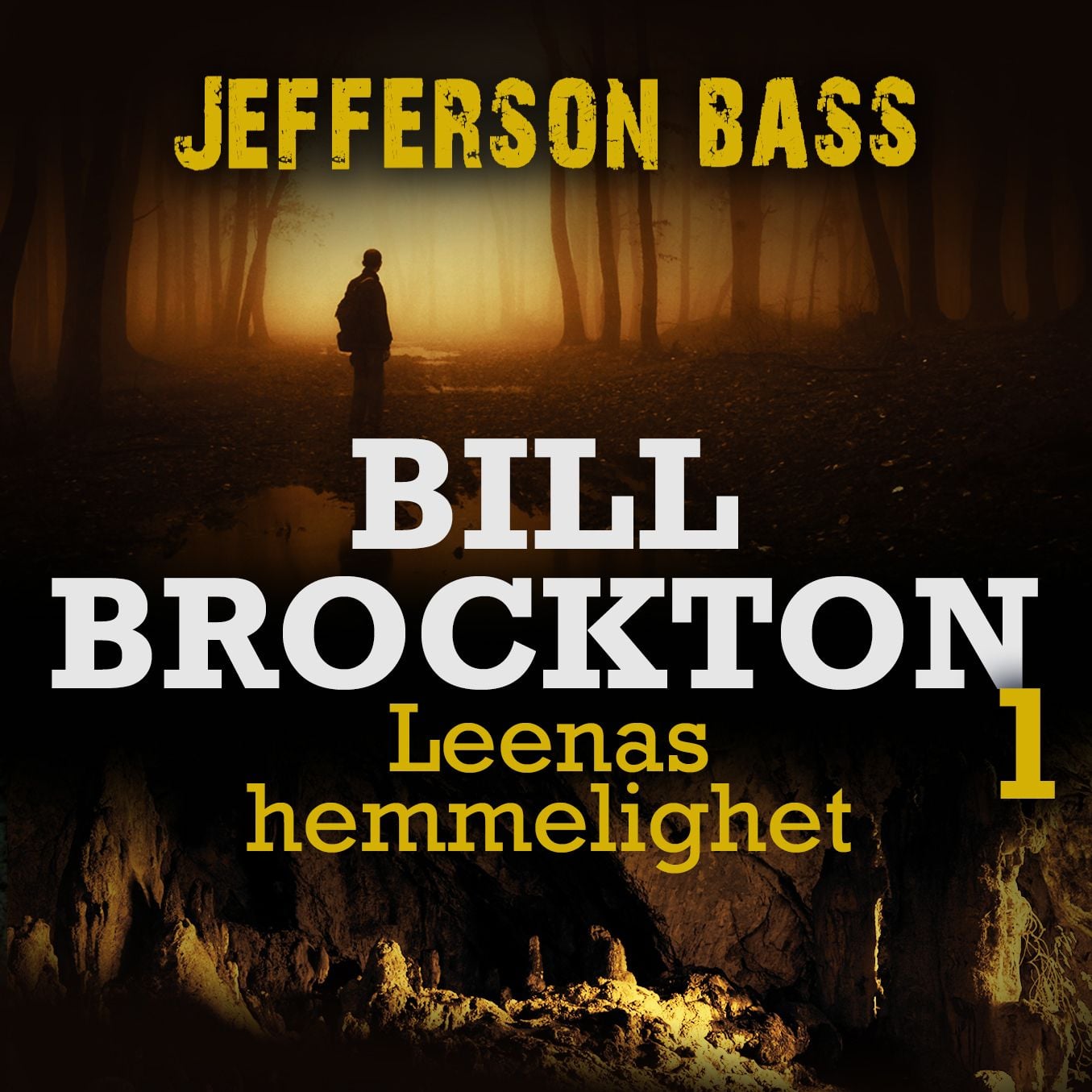 Leenas hemmelighet