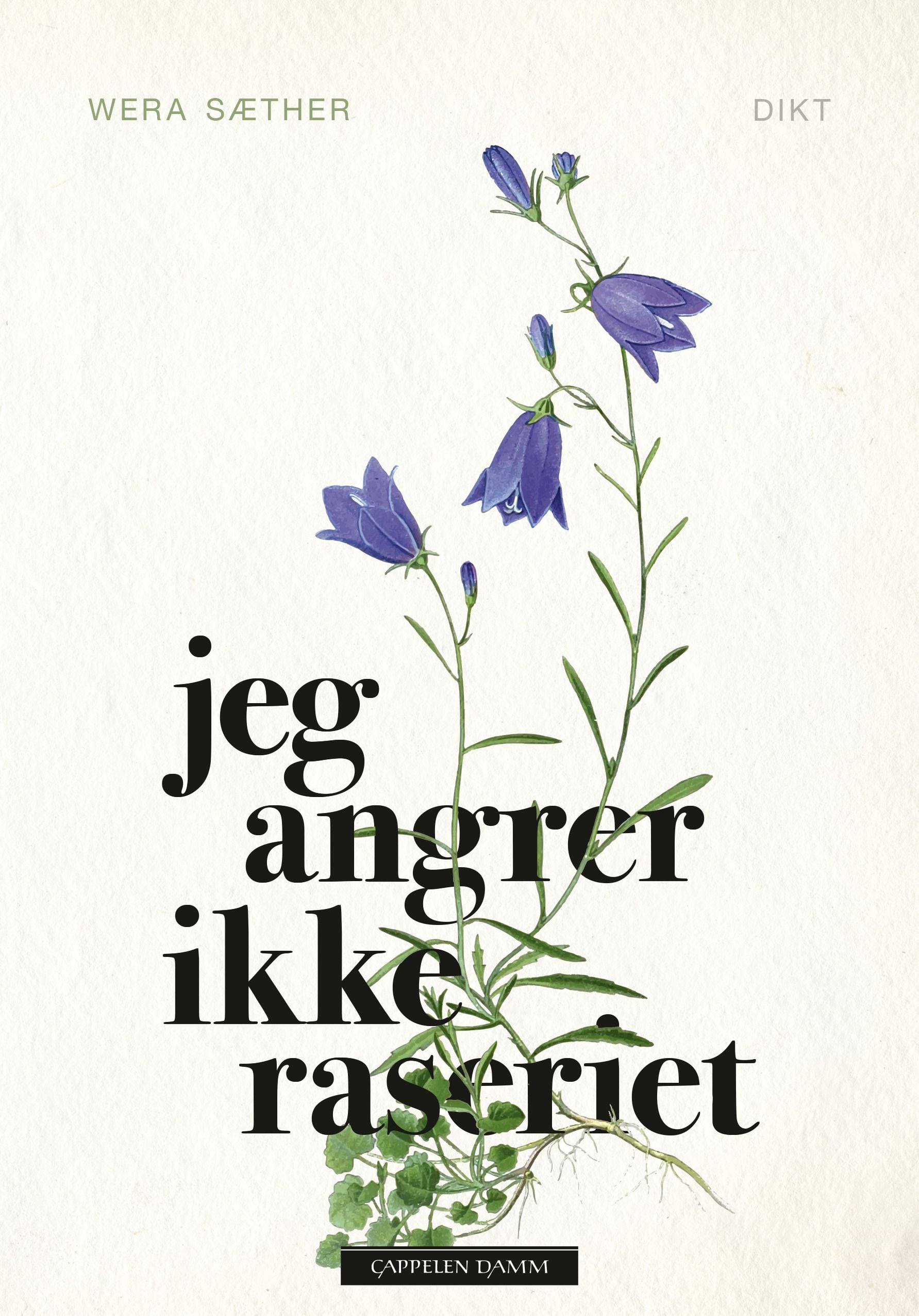 Jeg angrer ikke raseriet