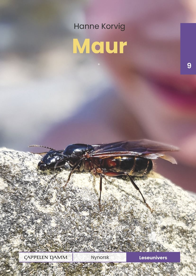Maur