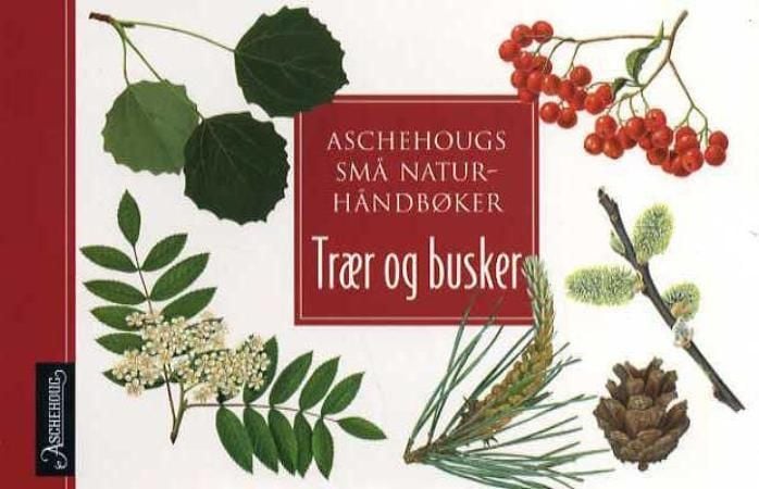 Trær og busker