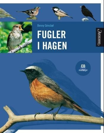 Fugler i hagen