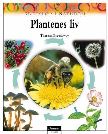 Planteliv