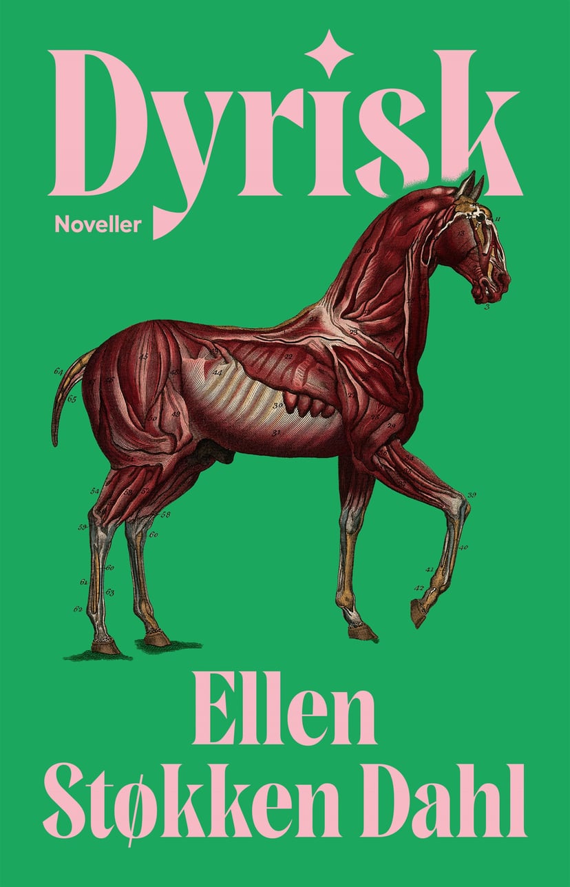 Dyrisk
