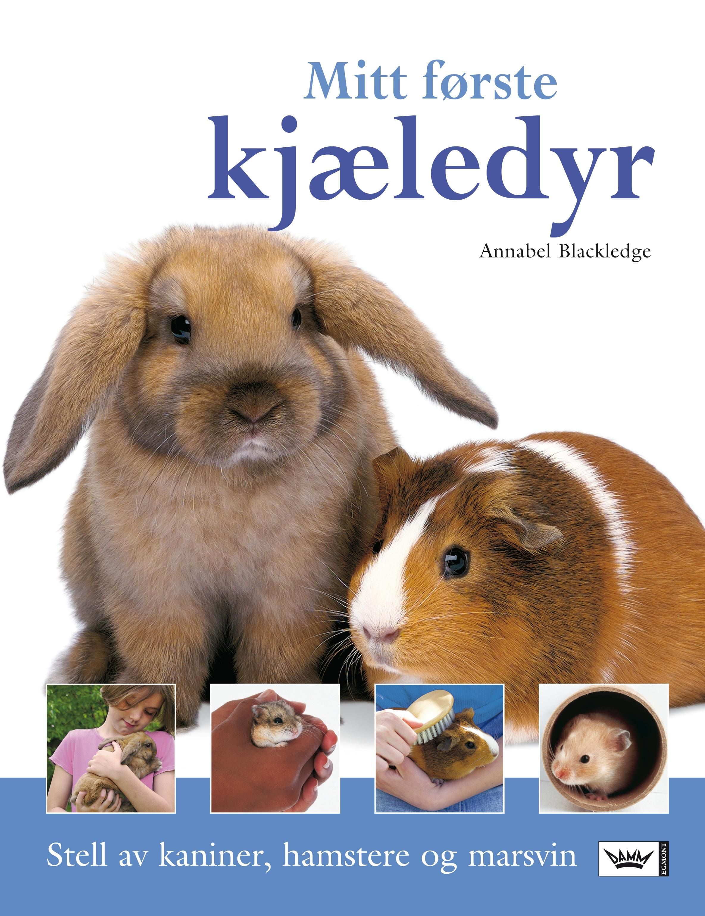 Mitt første kjæledyr