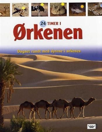 Ørkenen