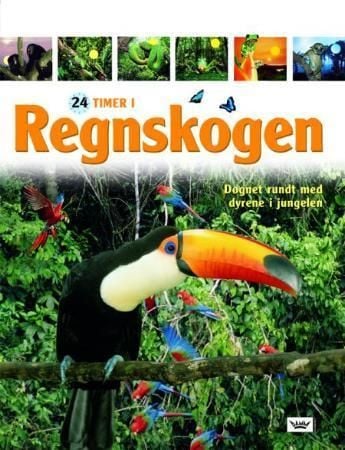Regnskogen