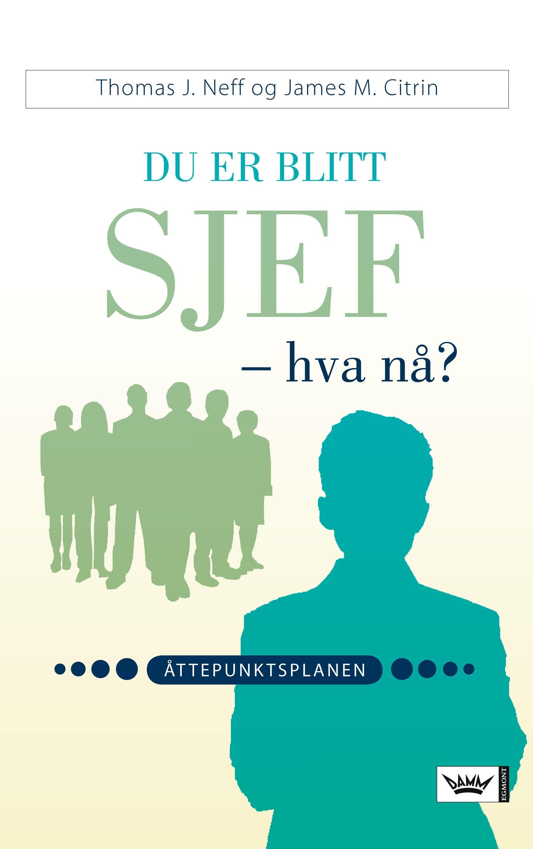 Du er blitt sjef - hva nå?