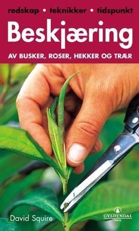 Beskjæring