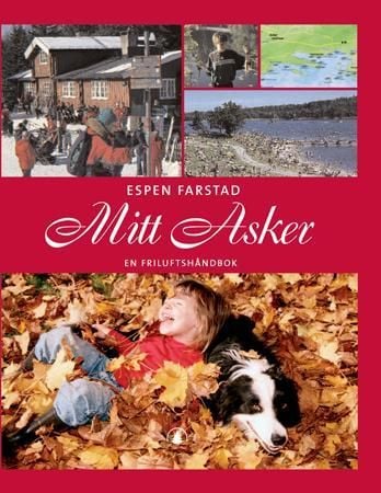 Mitt Asker