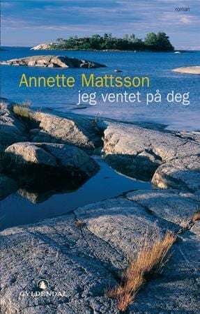 Jeg ventet på deg