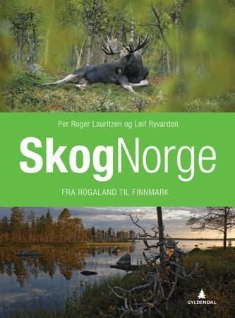 Skognorge