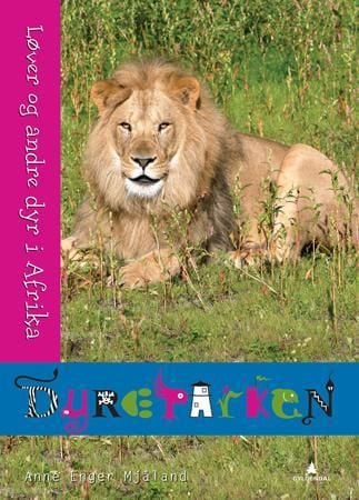 Løver og andre dyr i Afrika