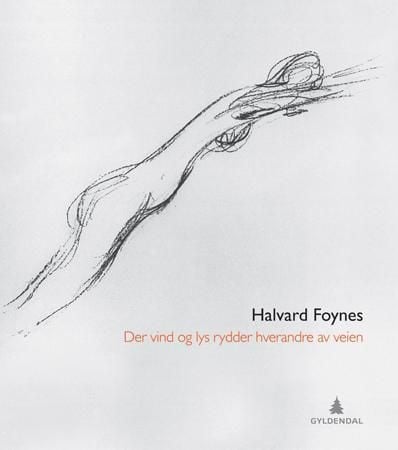 Der vind og lys rydder hverandre av veien