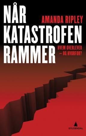 Når katastrofen rammer
