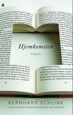 Hjemkomsten