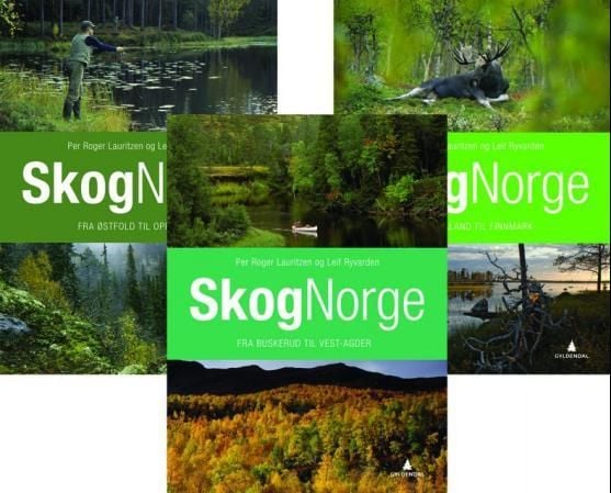 Skognorge