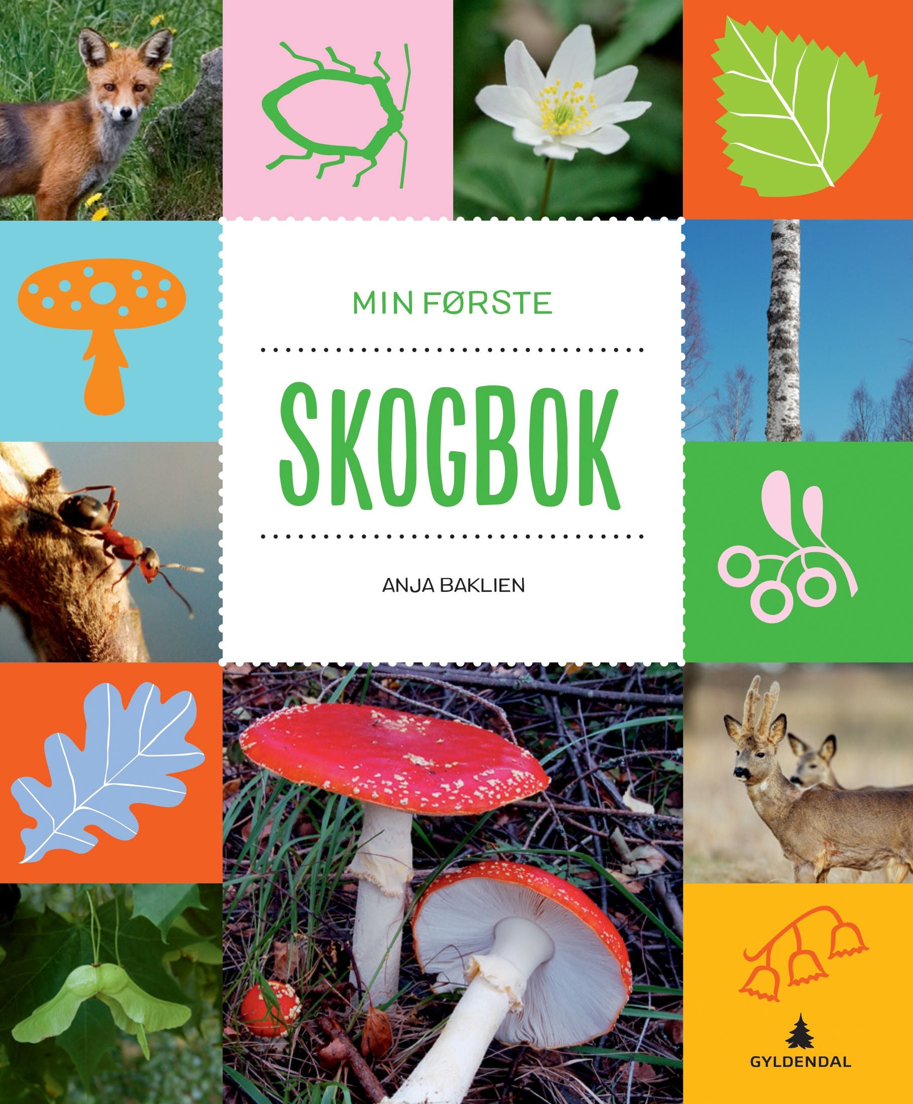 Min første skogbok