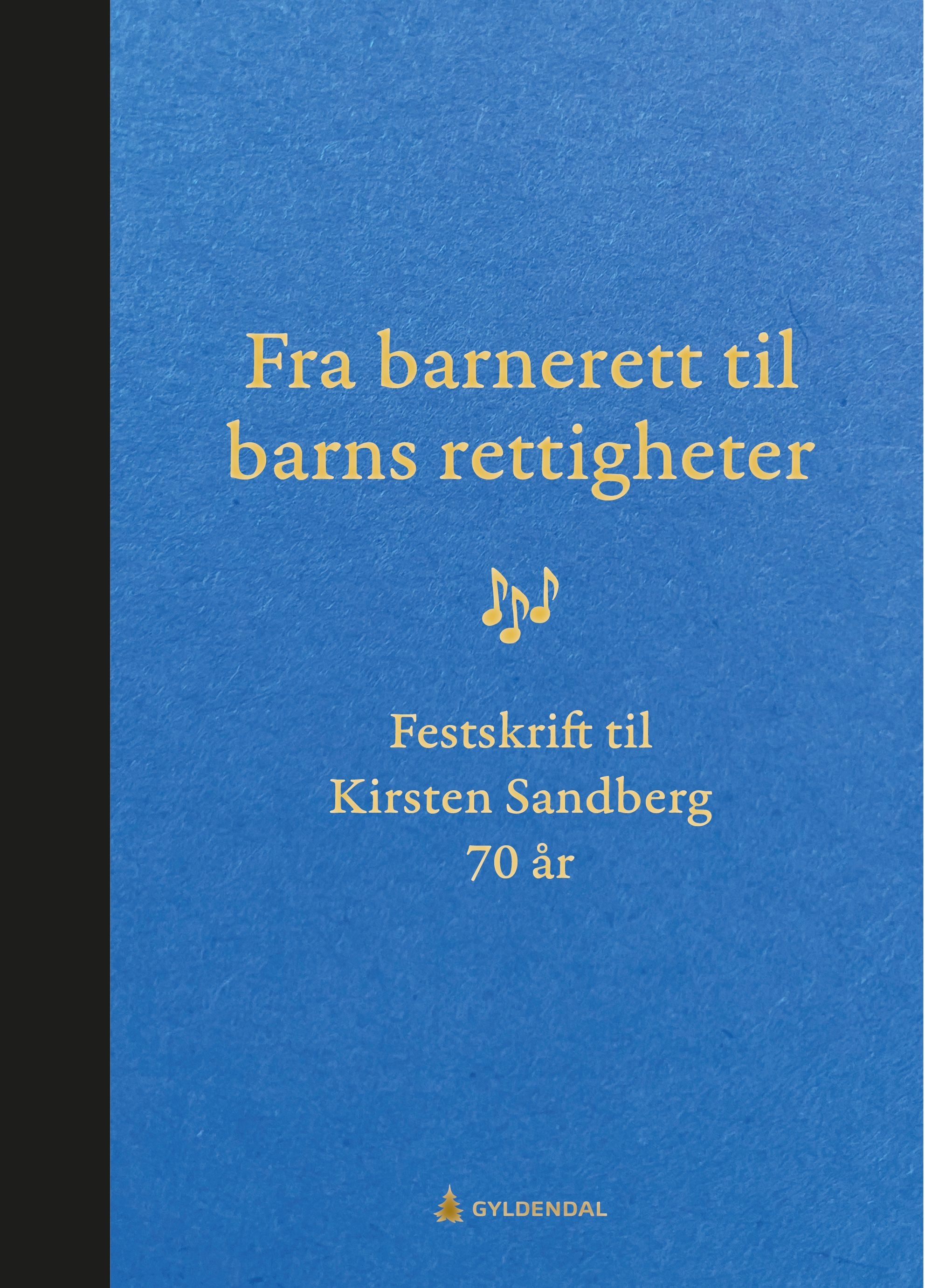 Fra barnerett til barns rettigheter