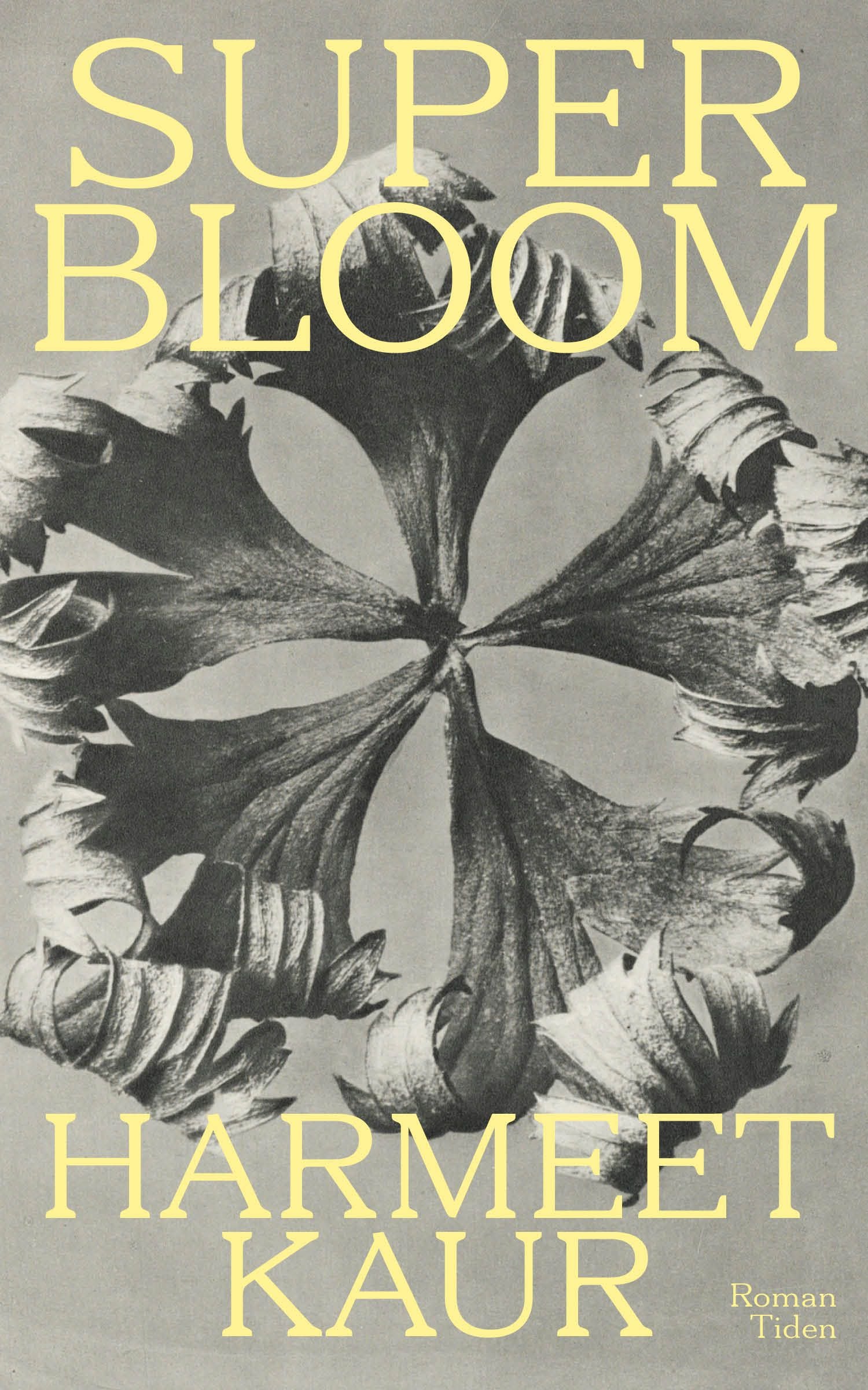 Superbloom