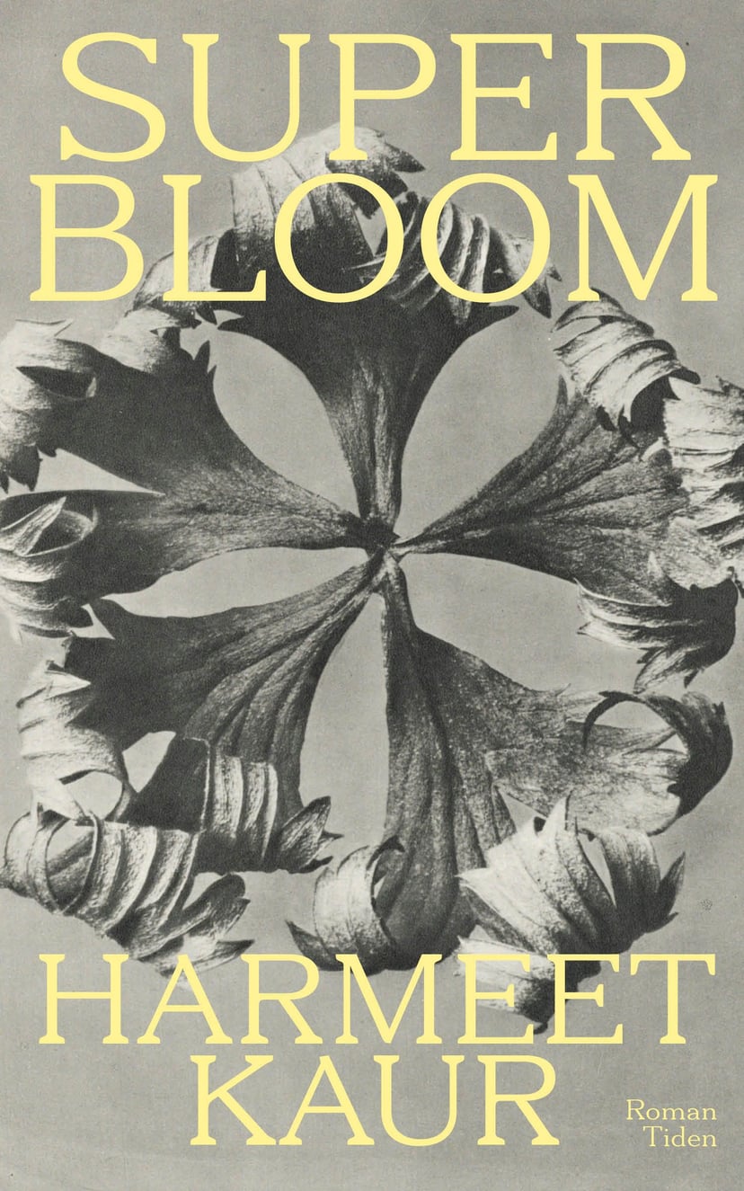 Superbloom