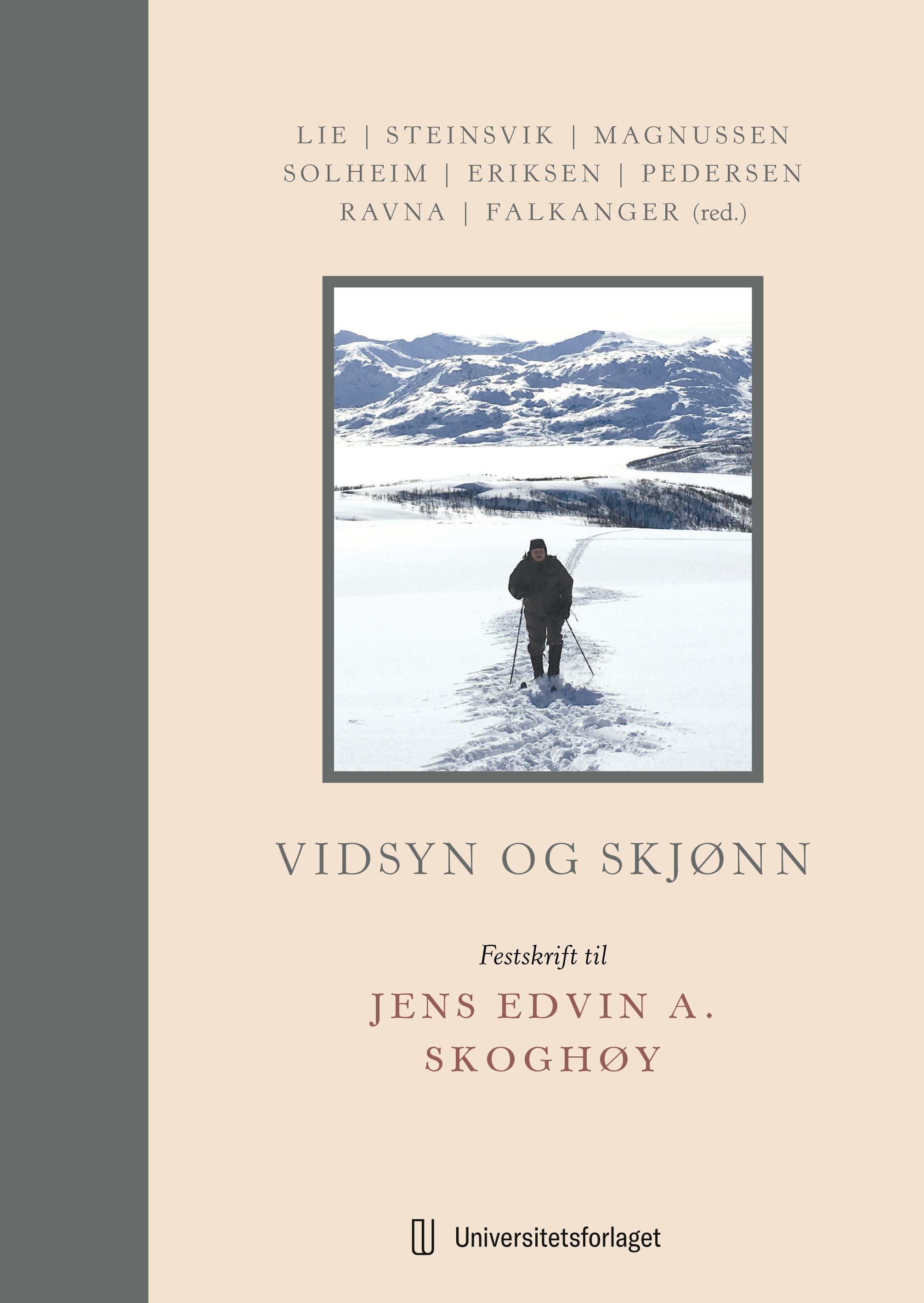 Vidsyn og skjønn