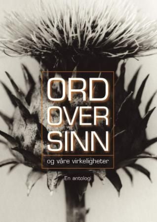 Ord over sinn - og våre virkeligheter