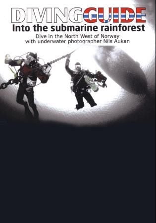 Diving guide