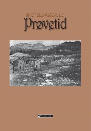 Prøvetid