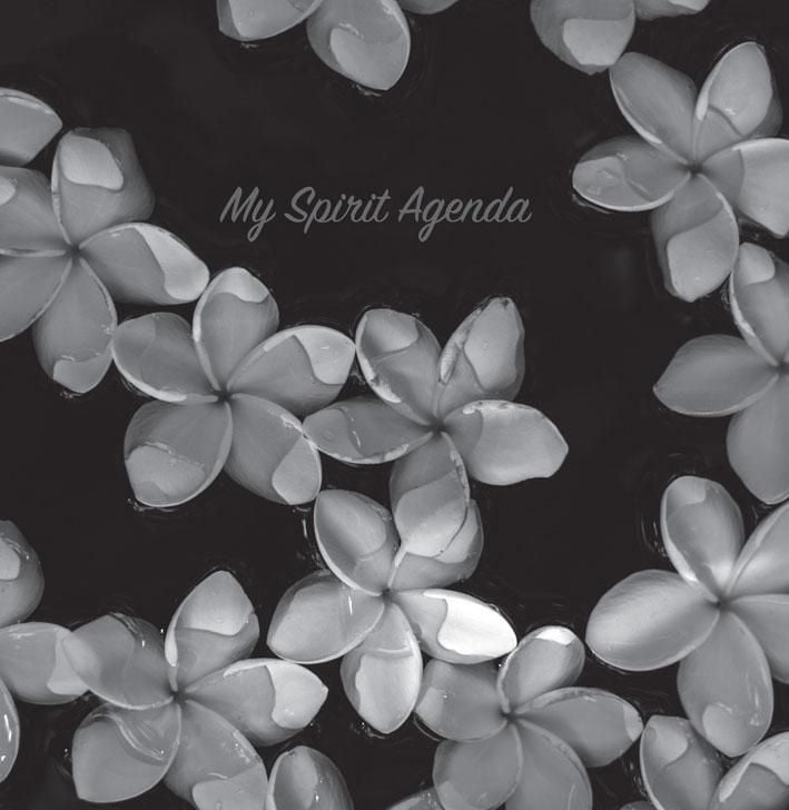 My spirit agenda