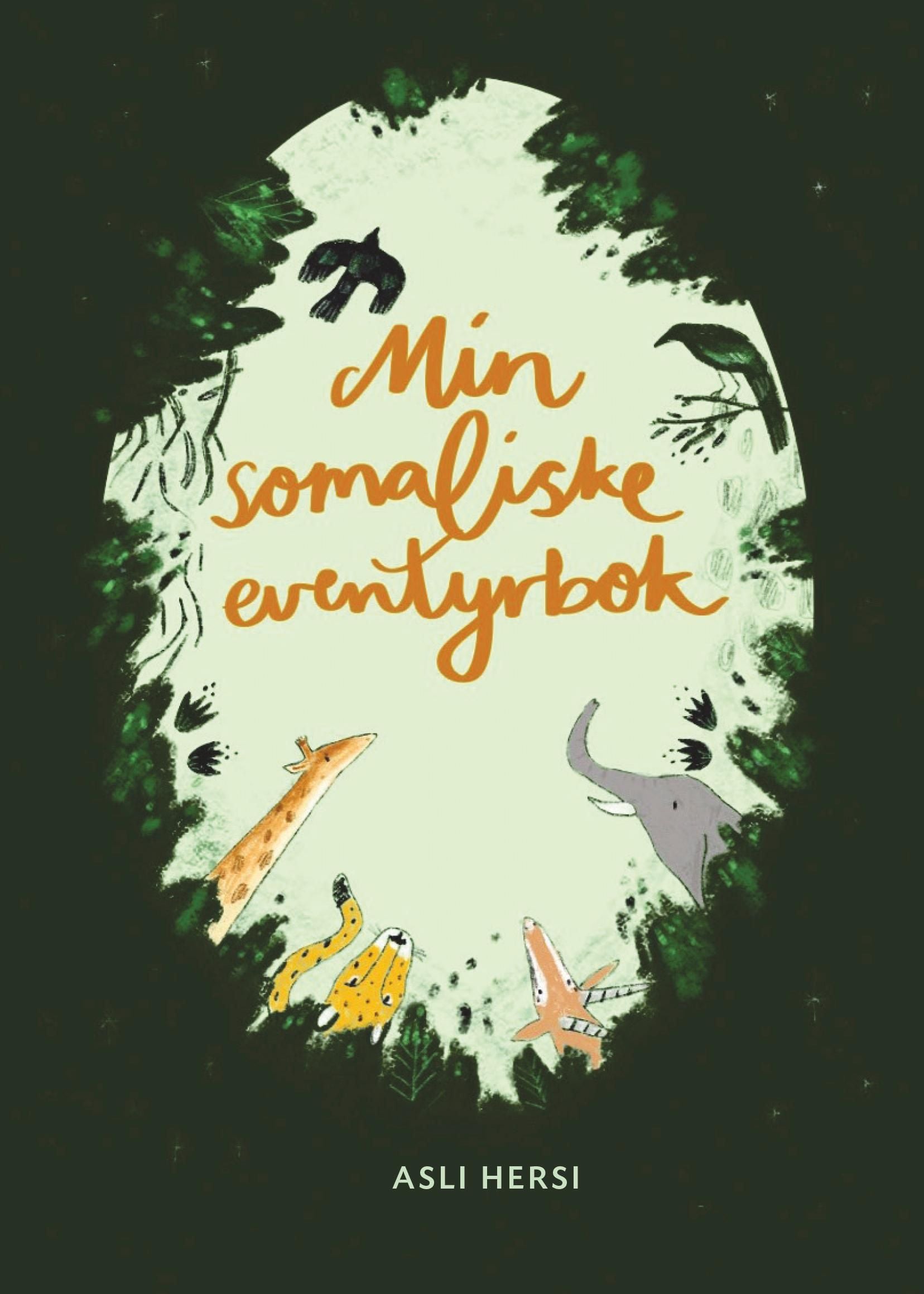 Min somaliske eventyrbok