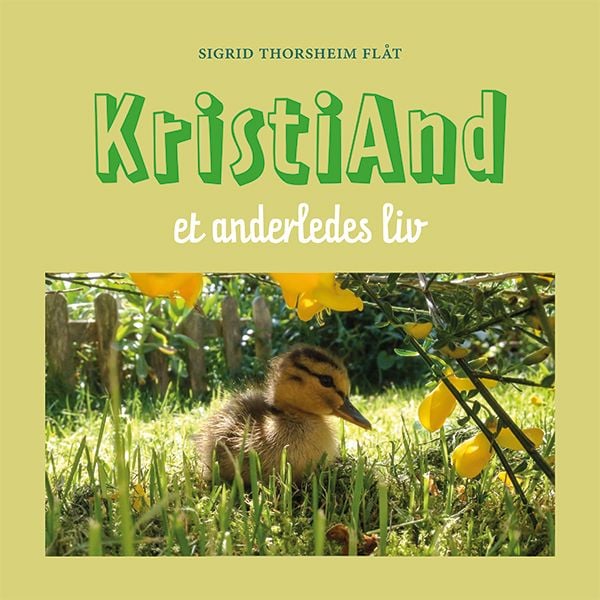 KristiAnd