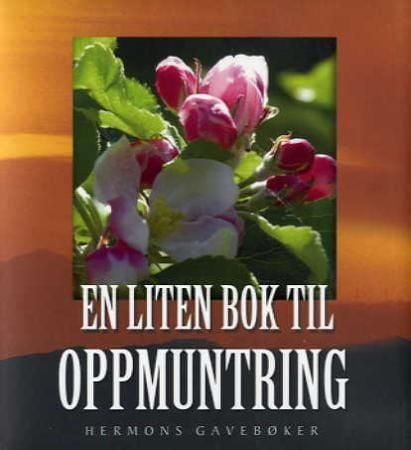 En liten bok til oppmuntring