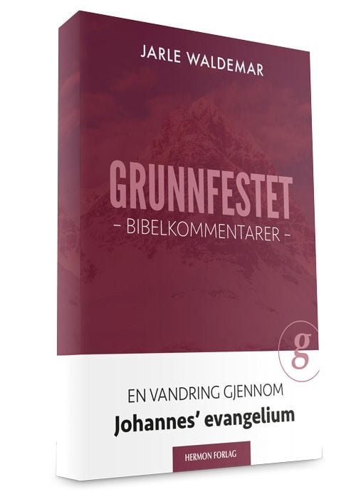 Grunnfestet