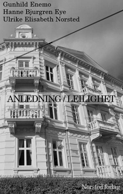 Anledning / leilighet
