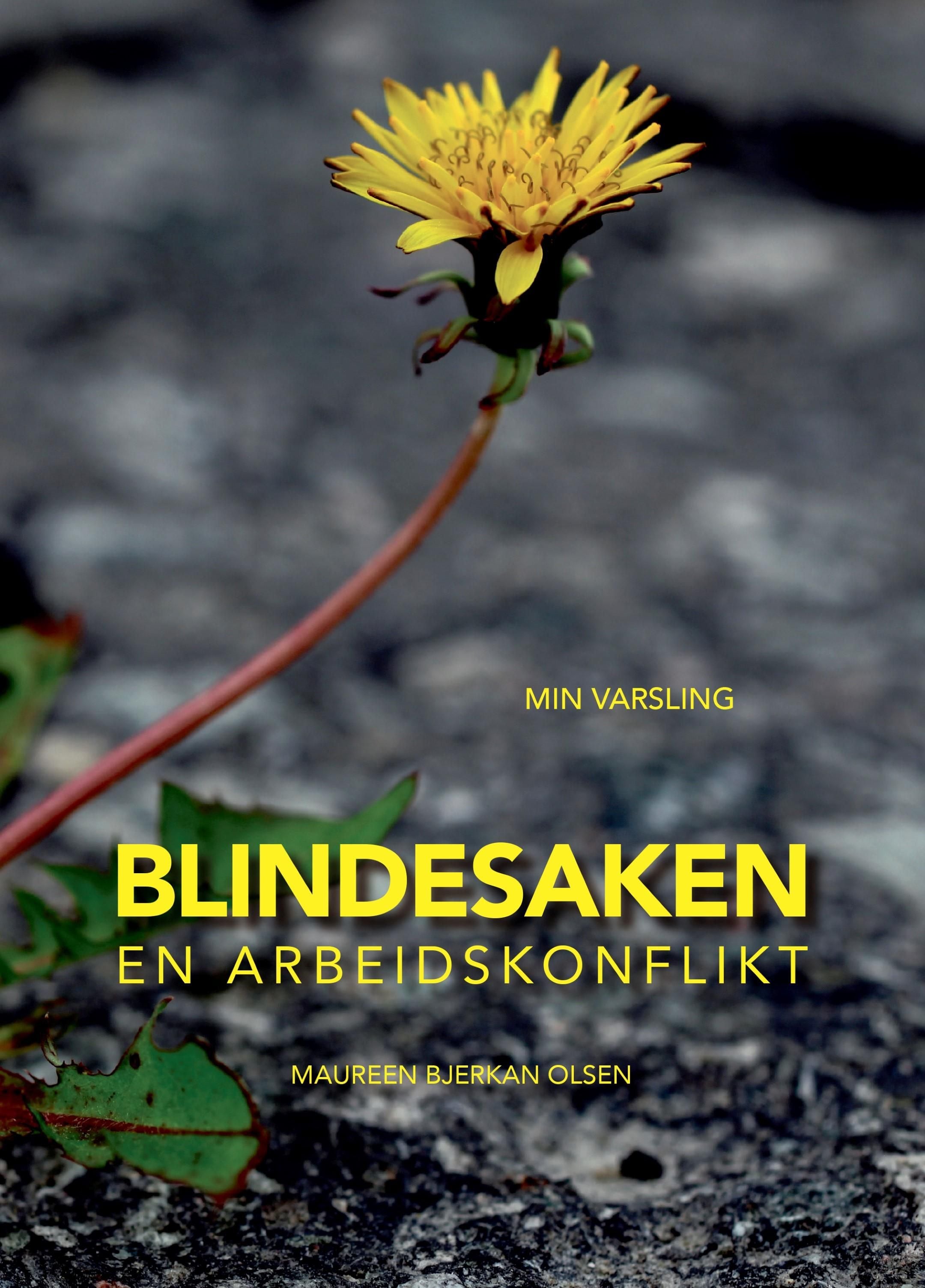 Blindesaken
