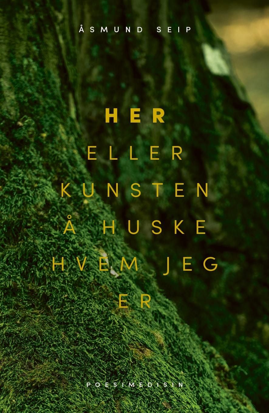 Her, eller Kunsten å huske hvem jeg er