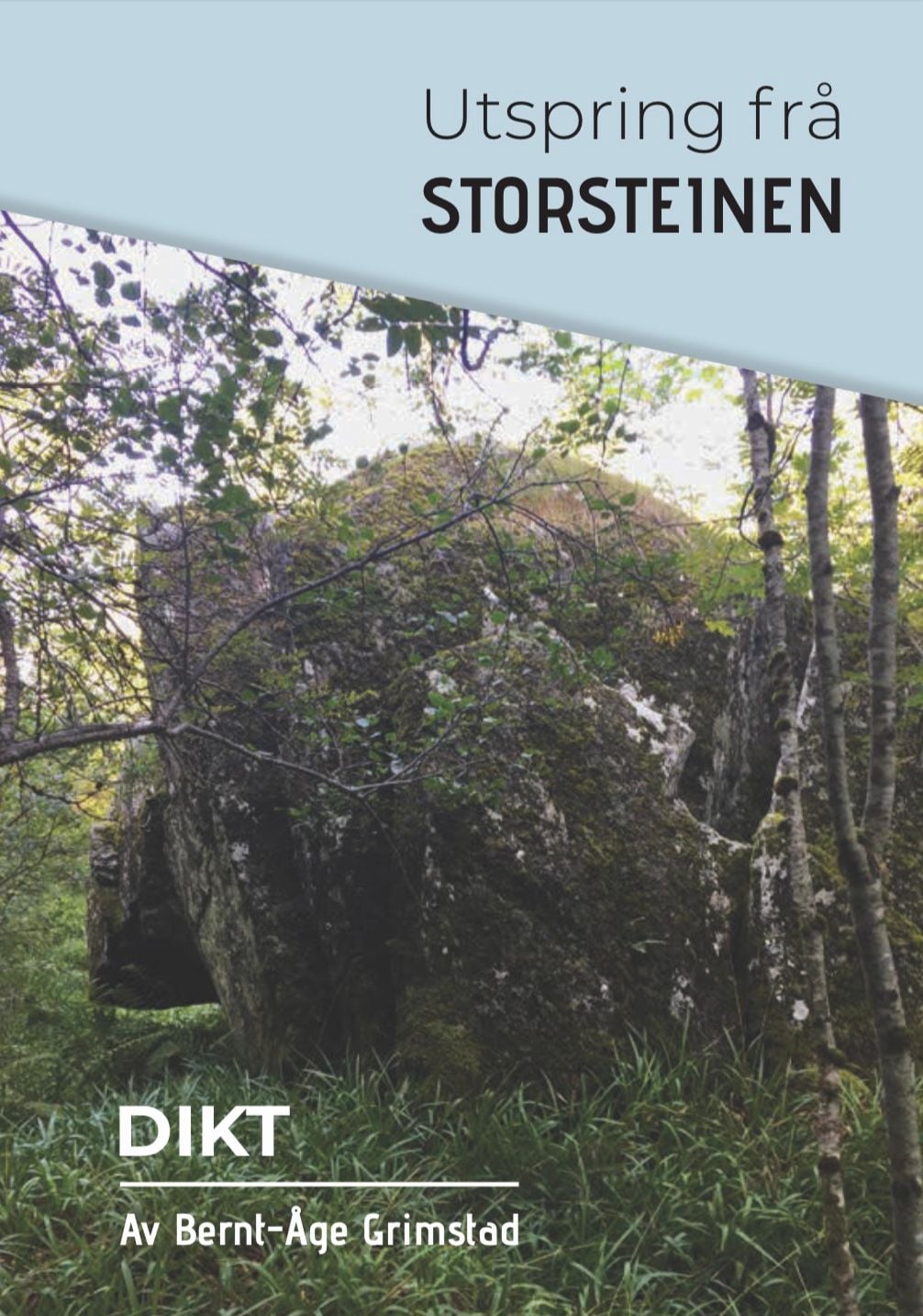 Utspring frå Storsteinen