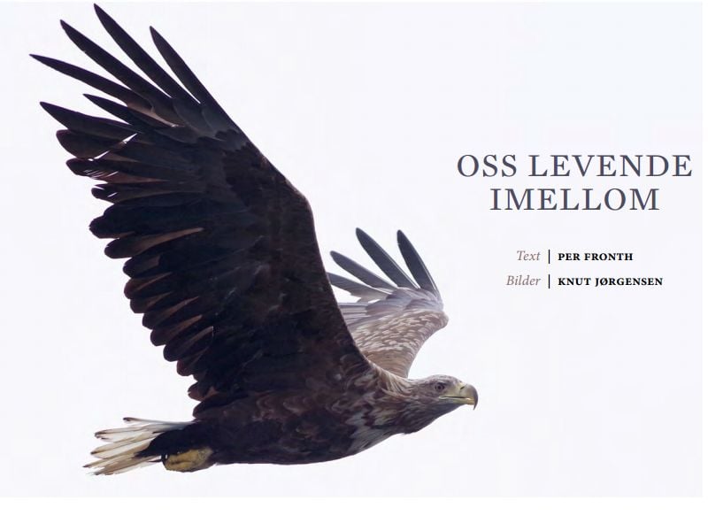 Oss levende imellom