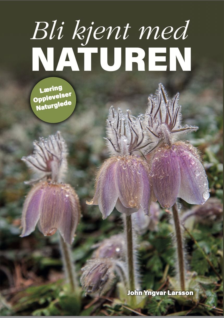 Bli kjent med naturen