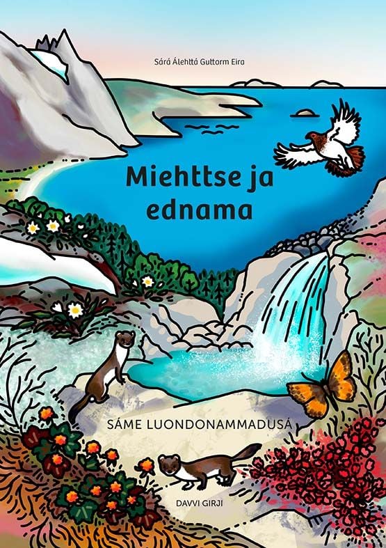 Miehttse ja ednama
