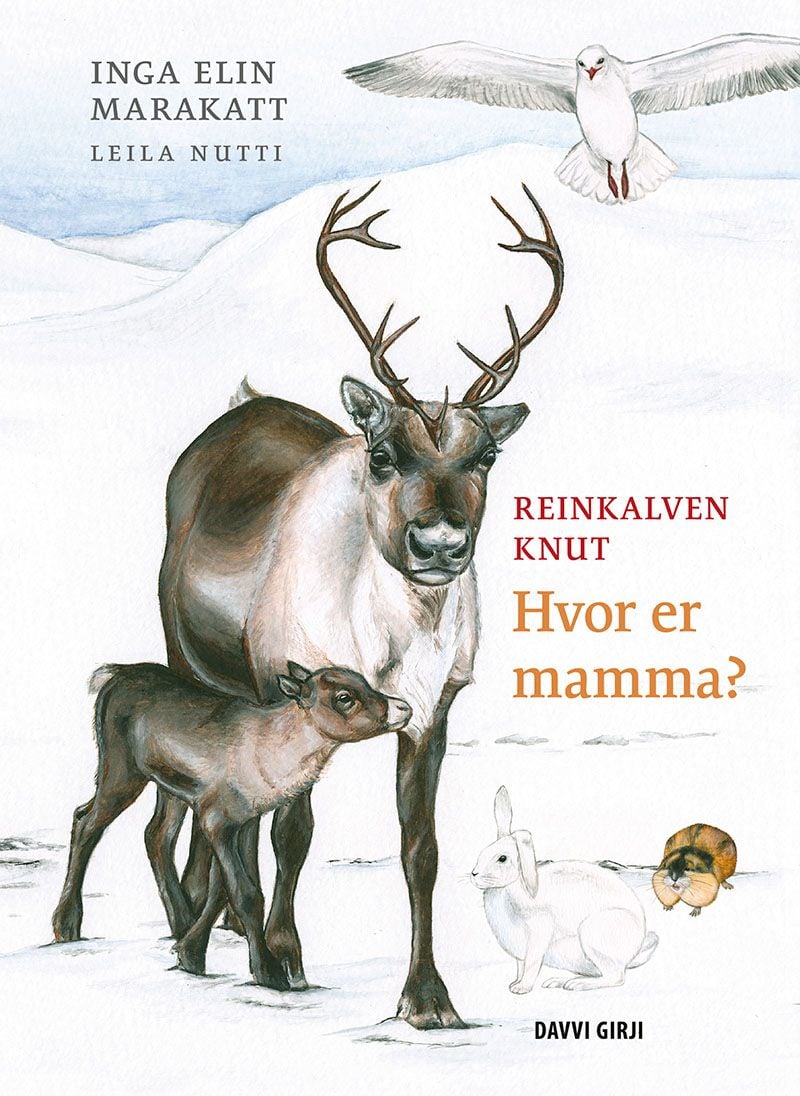 Reinkalven Knut