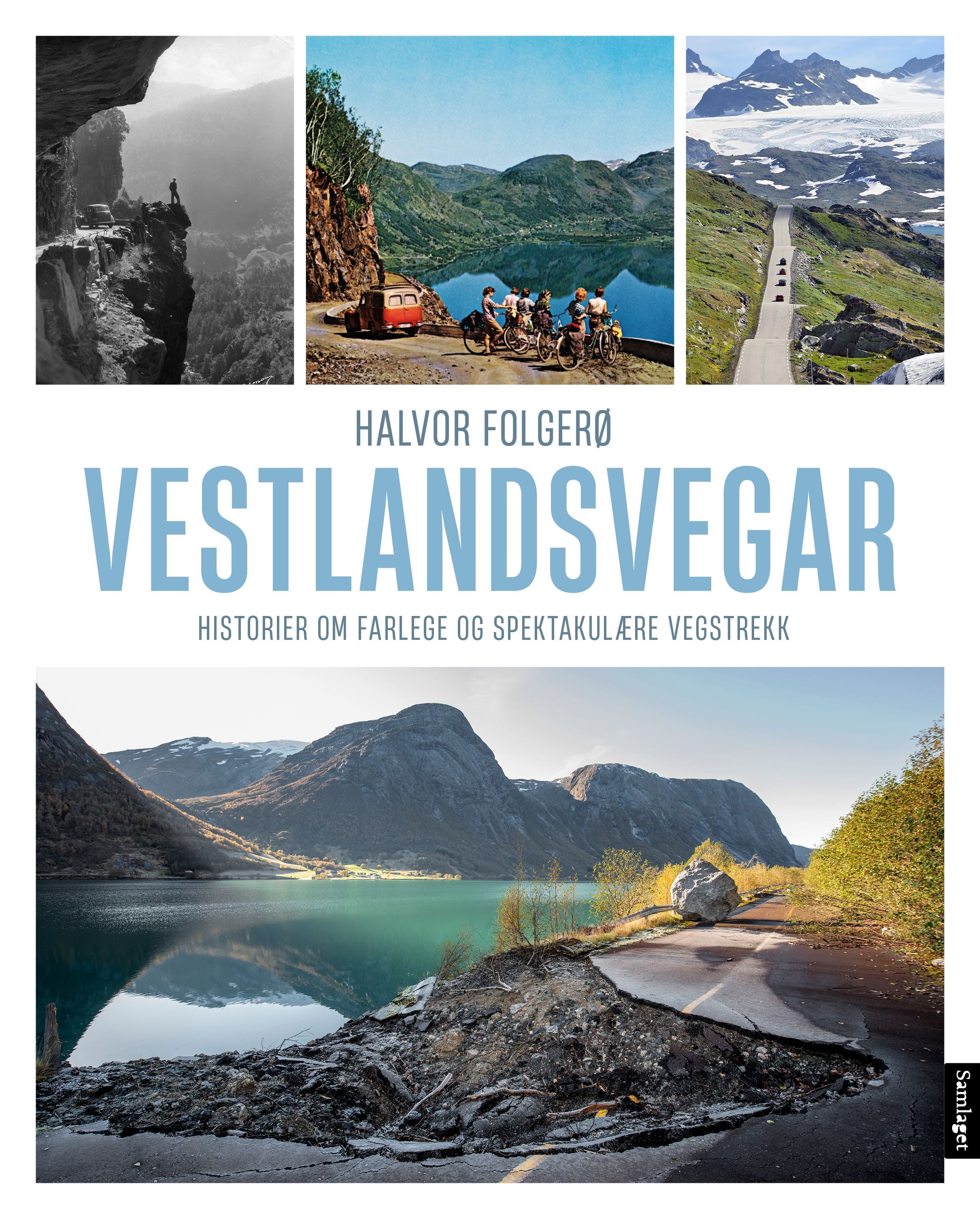 Vestlandsvegar