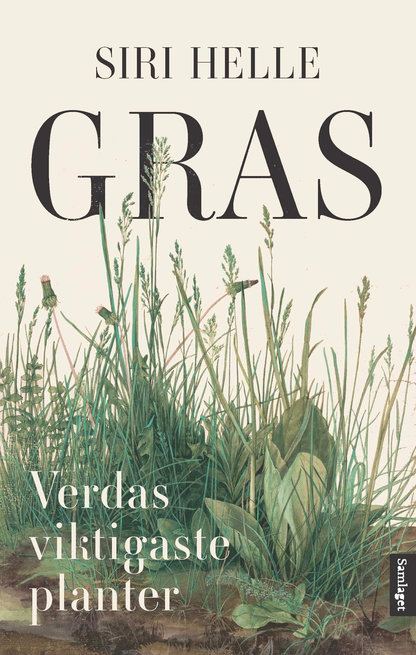 Gras