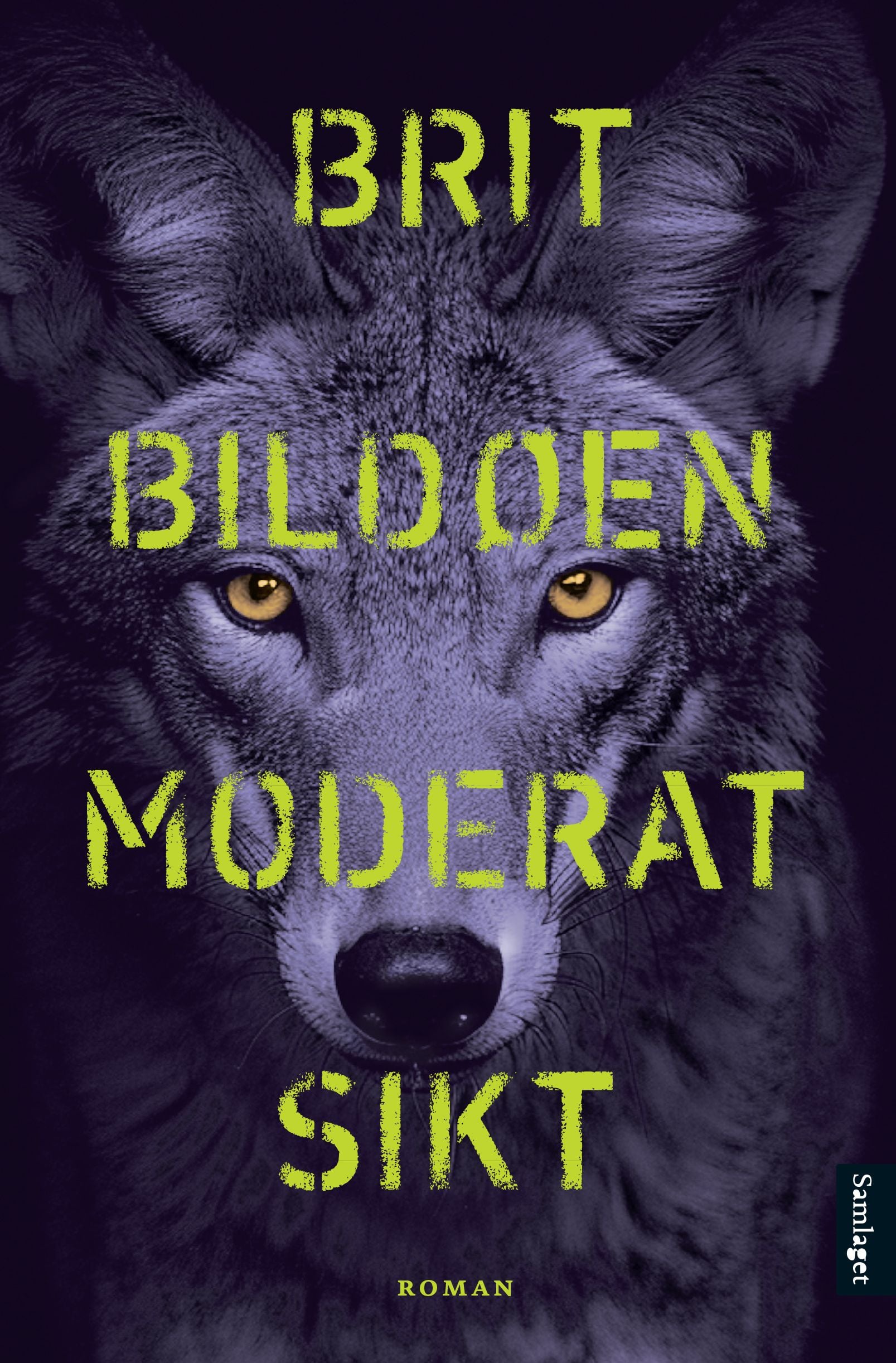 Moderat sikt