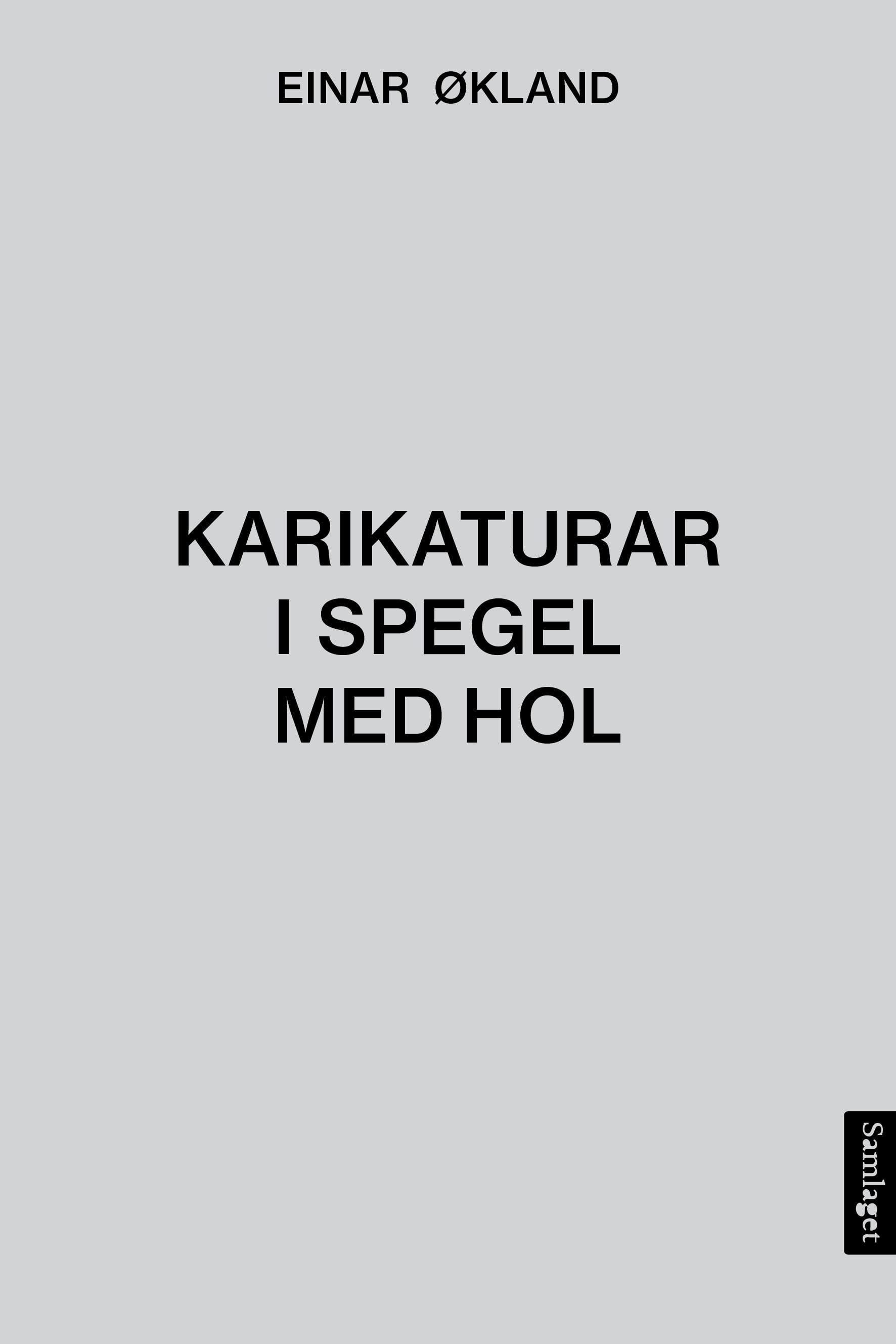 Karikaturar i spegel med hol