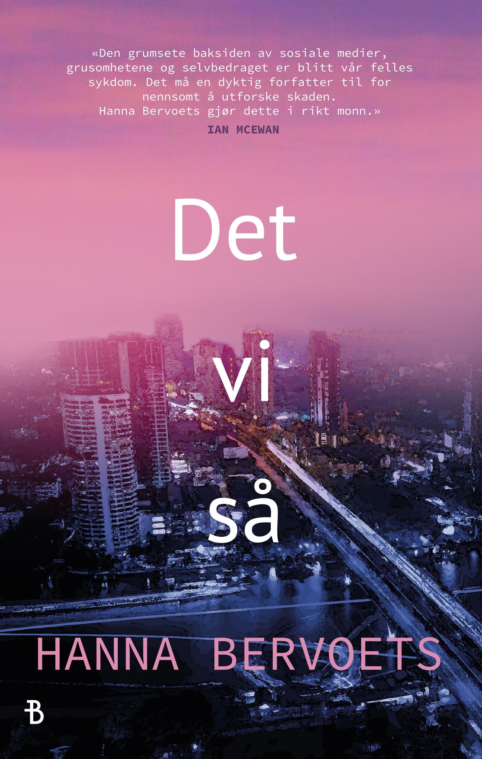 Det vi så