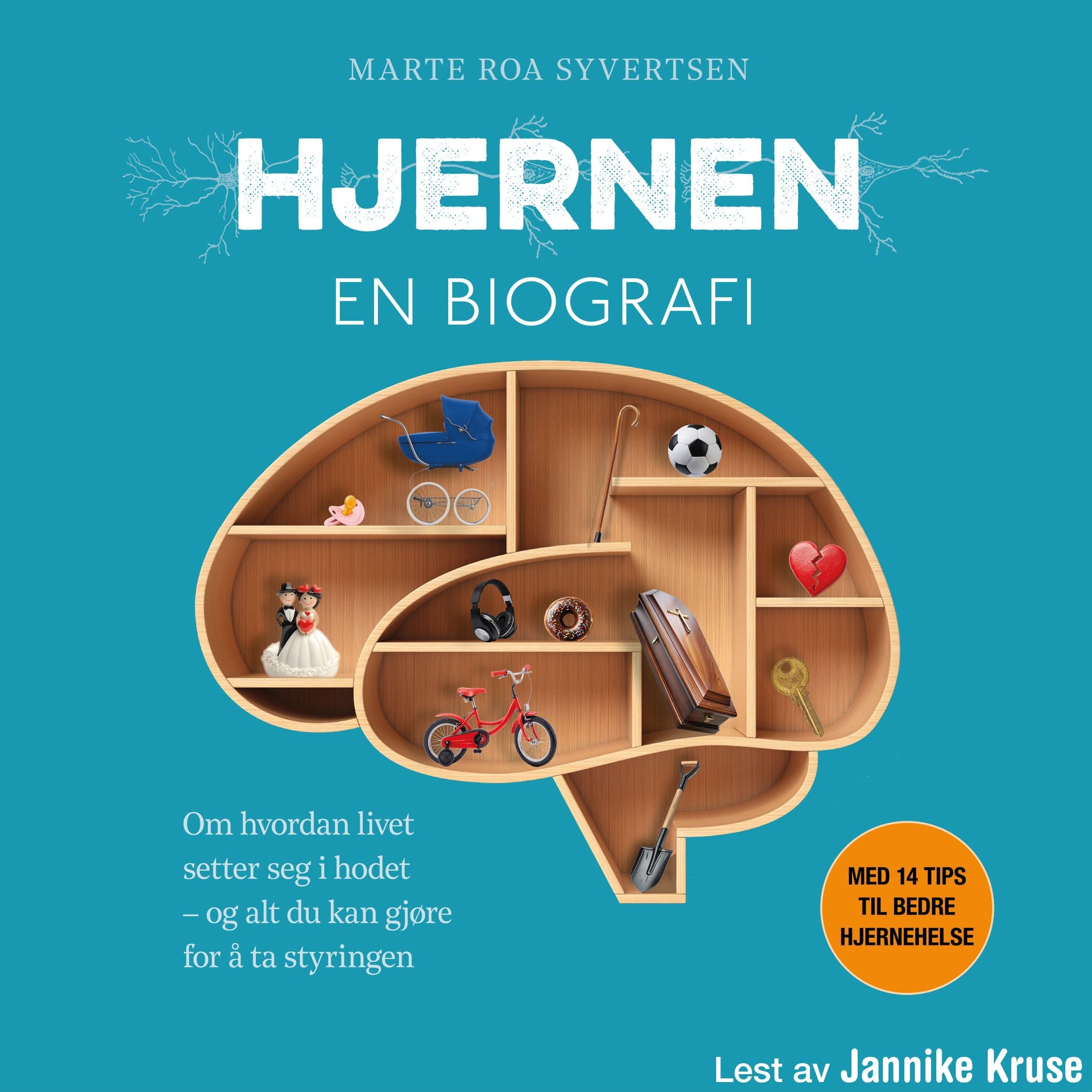Hjernen