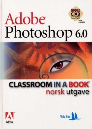 Adobe photoshop 6.0